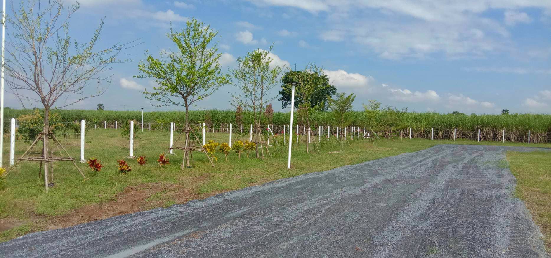 ราคาพิเศษ-ส่งท้ายปี-ราคาพิเศษมาก-ลดแปลงละ-50000-