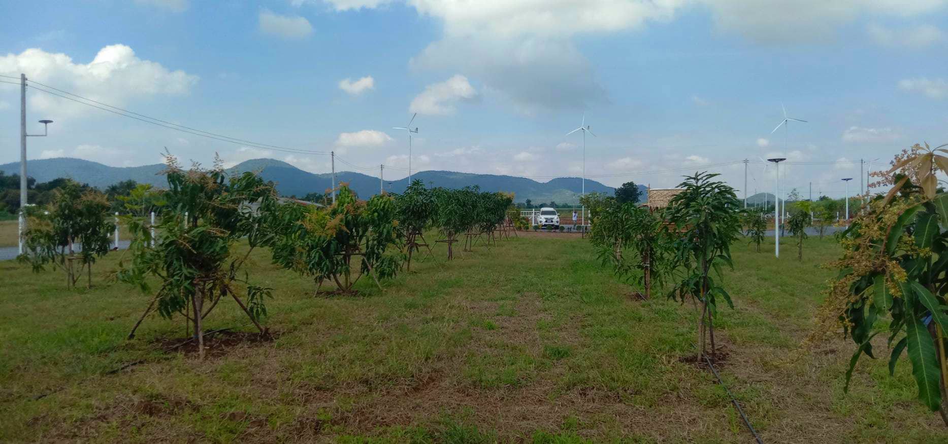 ราคาพิเศษ-ส่งท้ายปี-ราคาพิเศษมาก-ลดแปลงละ-50000-