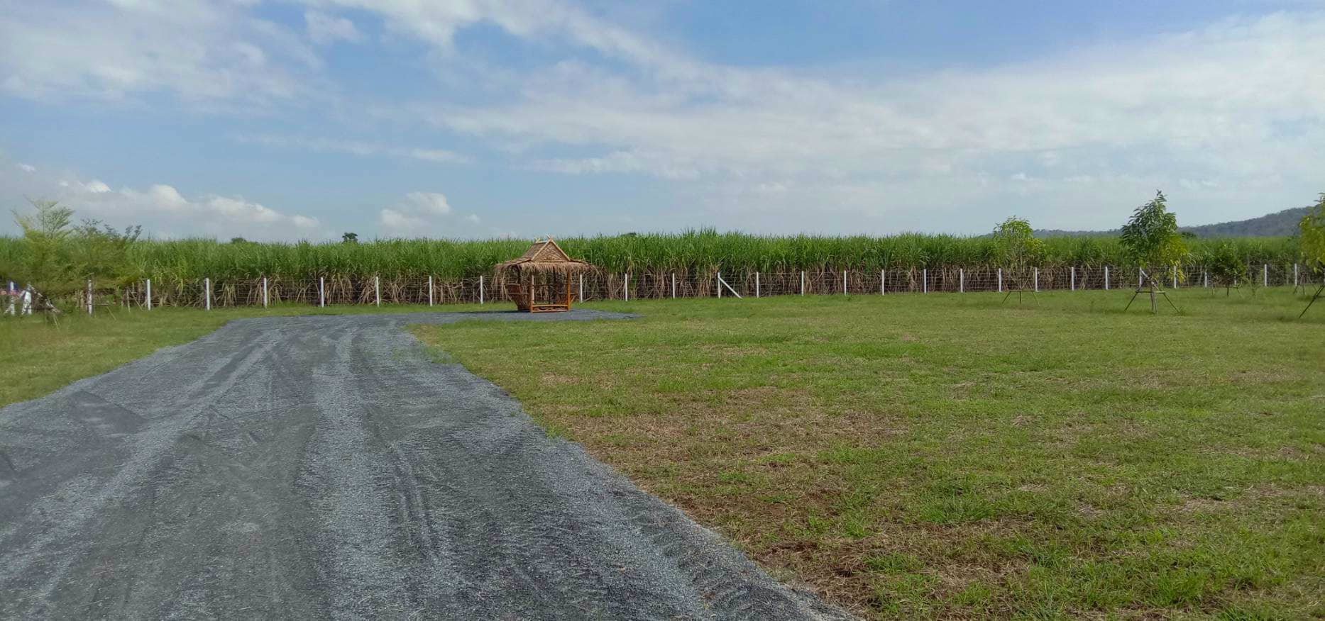 ราคาพิเศษ-ส่งท้ายปี-ราคาพิเศษมาก-ลดแปลงละ-50000-