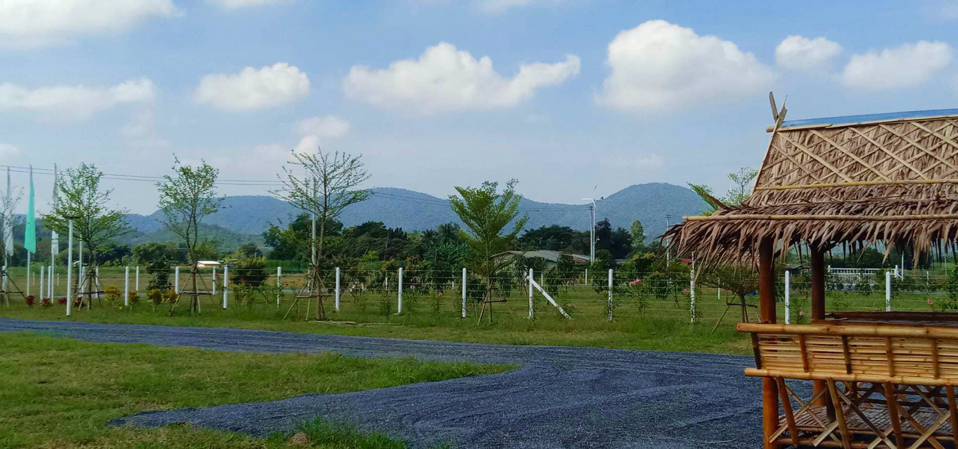 ราคาพิเศษ-ส่งท้ายปี-ราคาพิเศษมาก-ลดแปลงละ-50000-