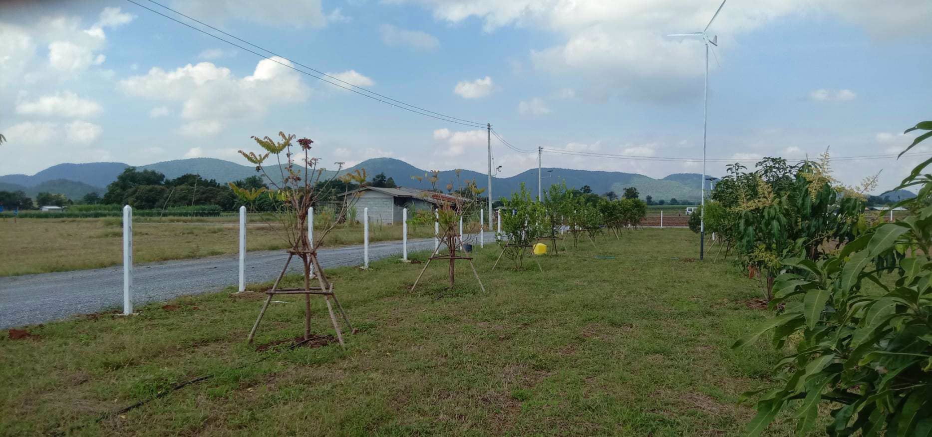 ราคาพิเศษ-ส่งท้ายปี-ราคาพิเศษมาก-ลดแปลงละ-50000-