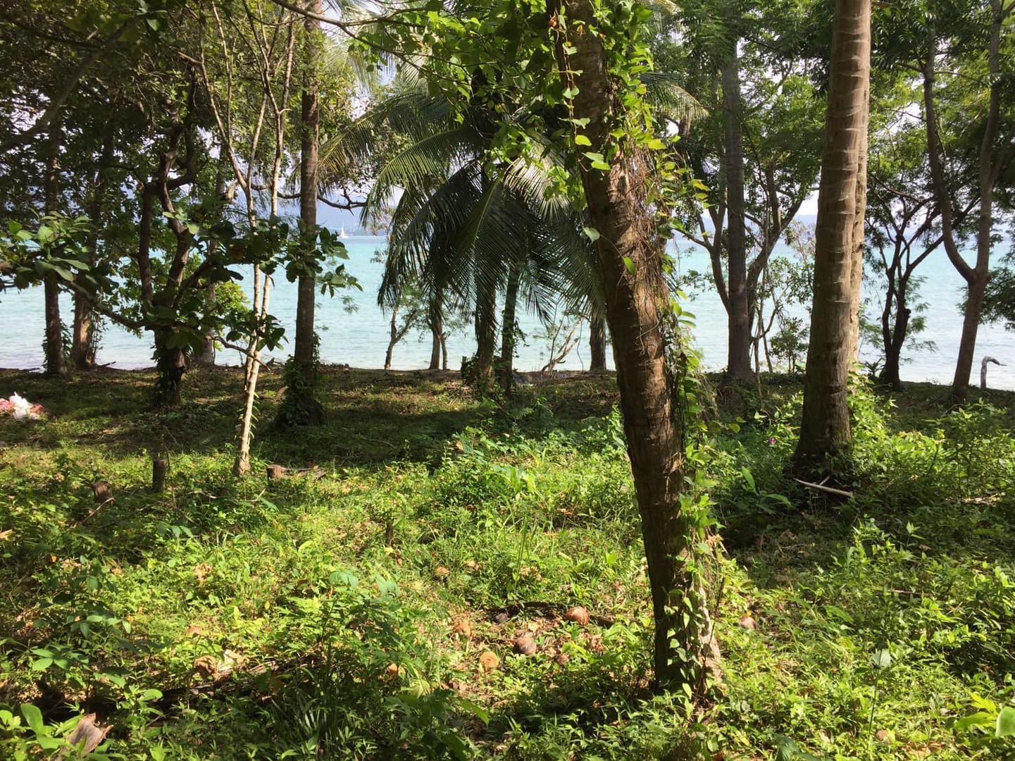🔹-beachfront-land-for-sale-lon-island-phuket-🔹
