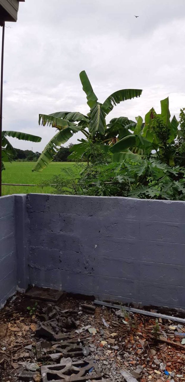 ขายบ้านเดี่ยว-32ตารางวา-3ห้องนอน-1ห้องน้ำ-เขตหนองจอก-กรุงเทพมหานคร-ขายบ้านเดี่ยว-เนื้อที่-32-ตารางว