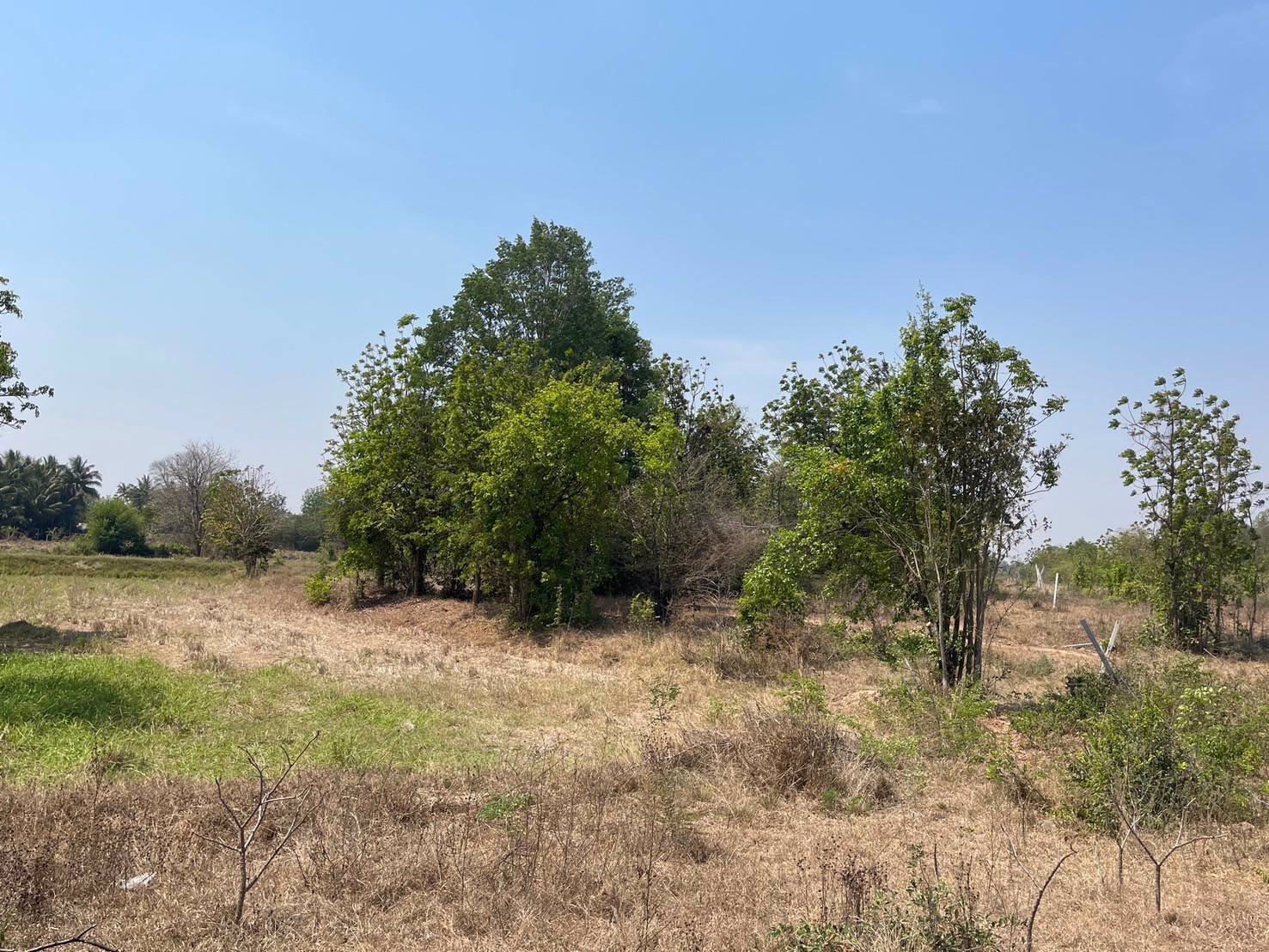 ขายที่ดิน-โฉนด-นส-๔-จ-