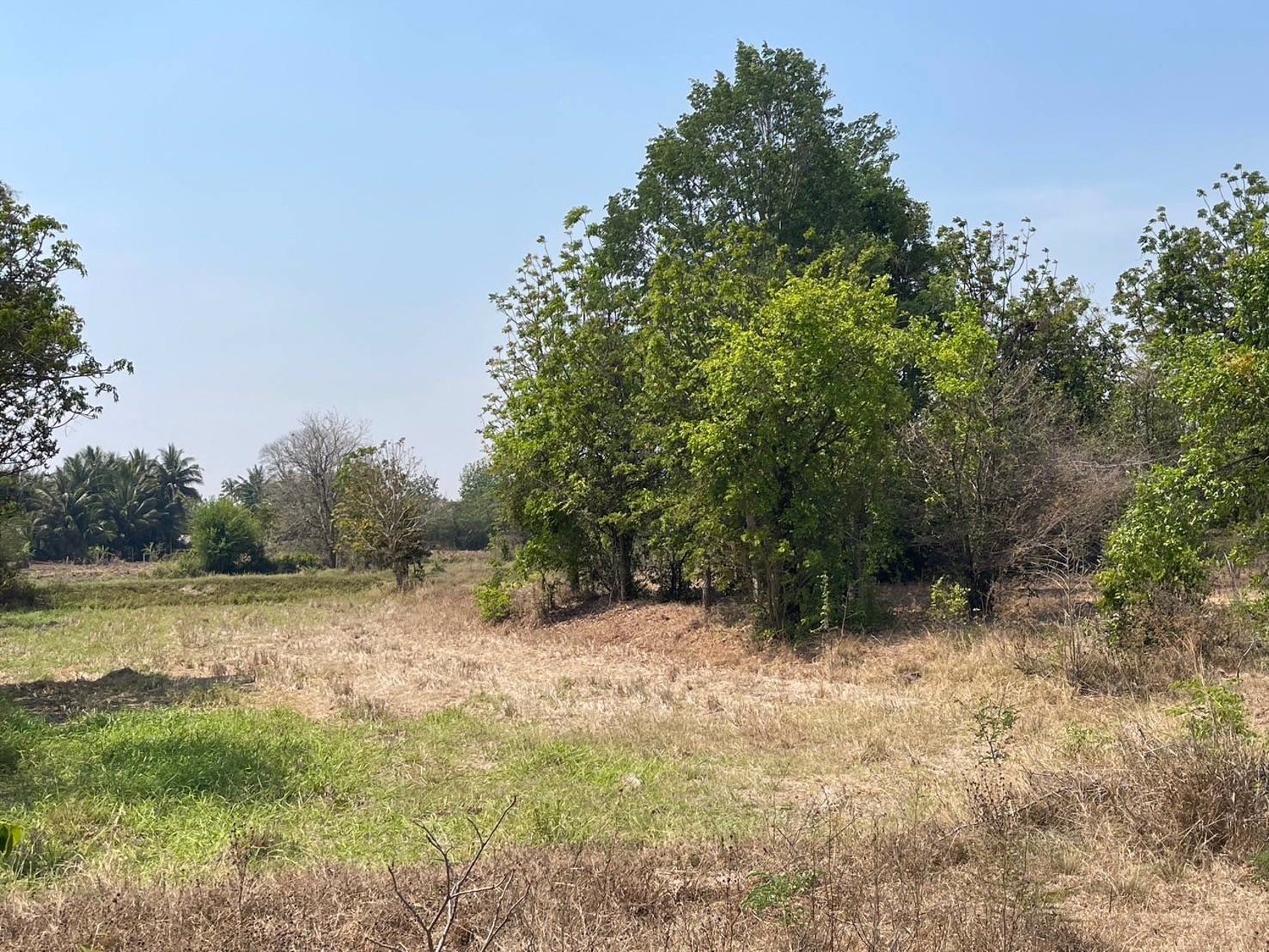 ขายที่ดิน-โฉนด-นส-๔-จ-