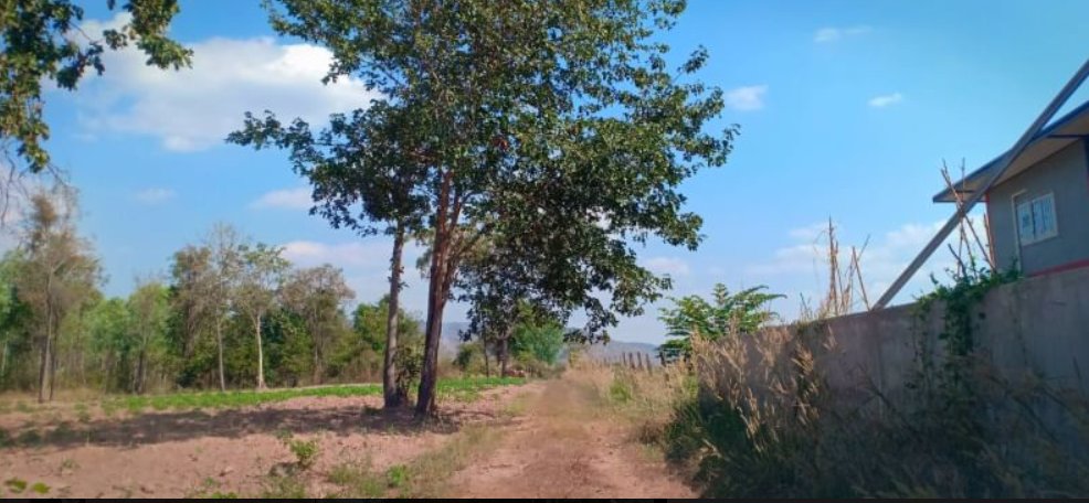 ขายที่ดินทำเลสวย-เนื้อที่-3-ไร่-3-งาน-31-ตรว