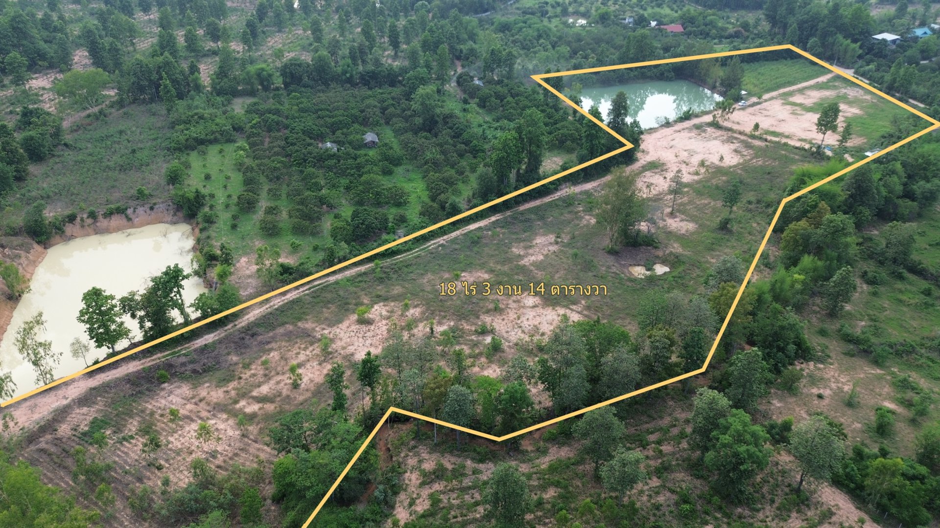 ขายที่ดินเปล่าราคาต่ำกว่าตลาด-ต-เหมืองจี้-อเมืองลำพูน-จลำพูน