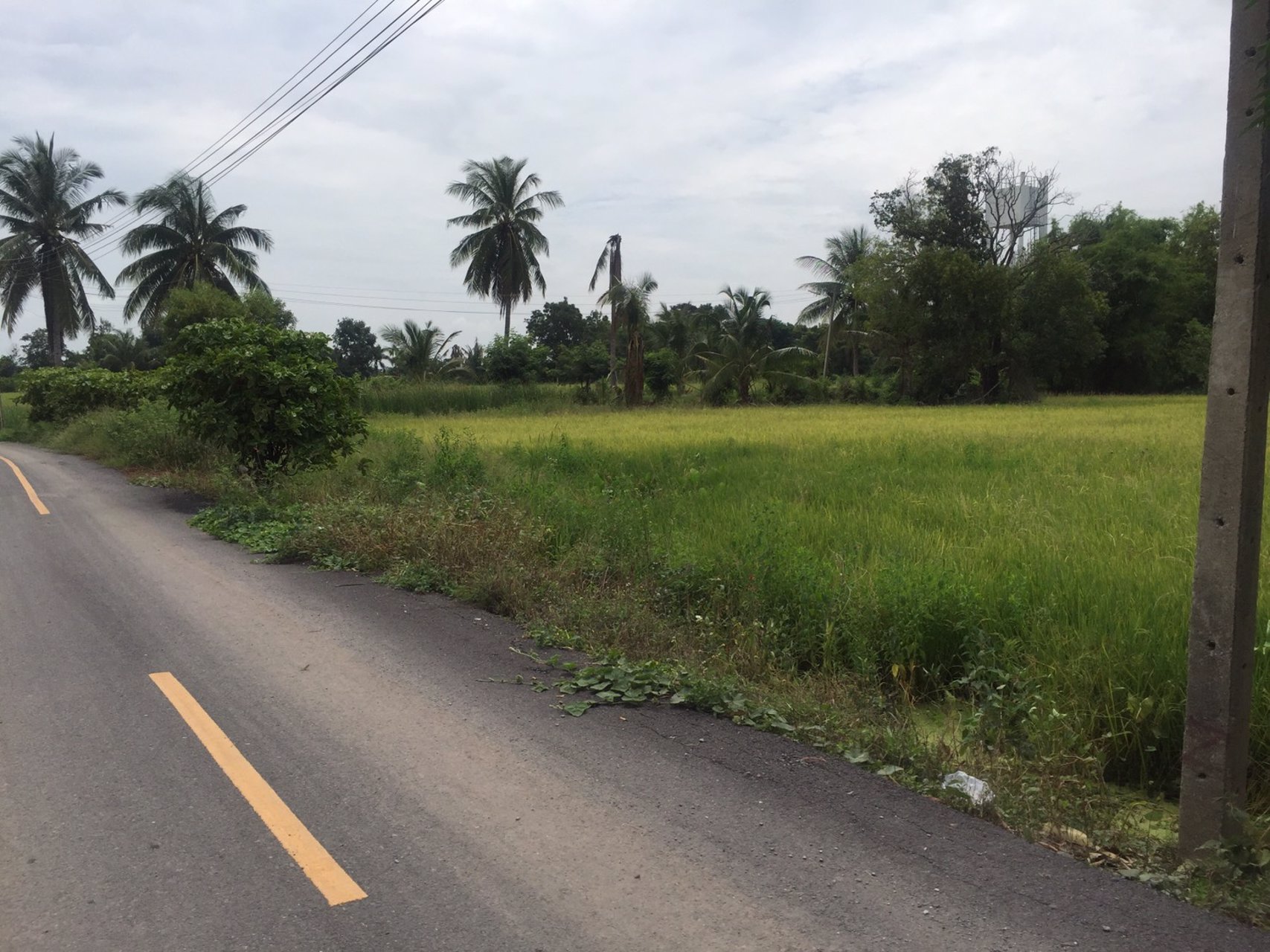 ขาย-หรือ-ให้เช่า-ที่เปล่า-ขนาด-7-ไร่-แบ่งได้-ใกล้โตโยต้าลาดบัวหลวง