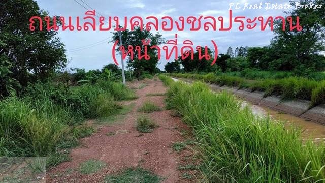 ขายที่ดิน-8-ไร่-เหมาะทำการเกษตร-ตศรีนาวา-อเมือง-จังหวัดนครนายก-ใกล้วัดป่าศรีถาวรนิมิต