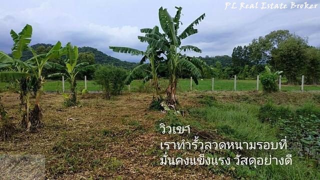 ขายที่ดิน-8-ไร่-เหมาะทำการเกษตร-ตศรีนาวา-อเมือง-จังหวัดนครนายก-ใกล้วัดป่าศรีถาวรนิมิต