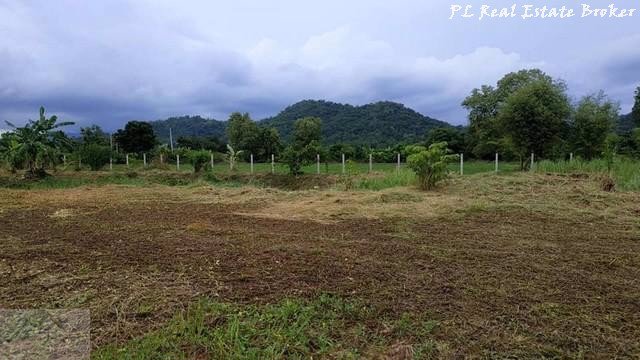 ขายที่ดิน-8-ไร่-เหมาะทำการเกษตร-ตศรีนาวา-อเมือง-จังหวัดนครนายก-ใกล้วัดป่าศรีถาวรนิมิต