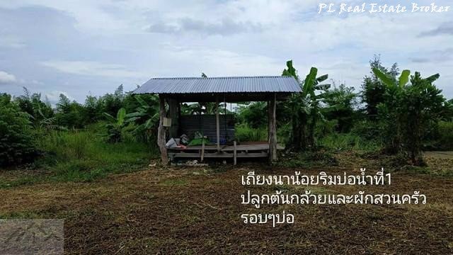 ขายที่ดิน-8-ไร่-เหมาะทำการเกษตร-ตศรีนาวา-อเมือง-จังหวัดนครนายก-ใกล้วัดป่าศรีถาวรนิมิต