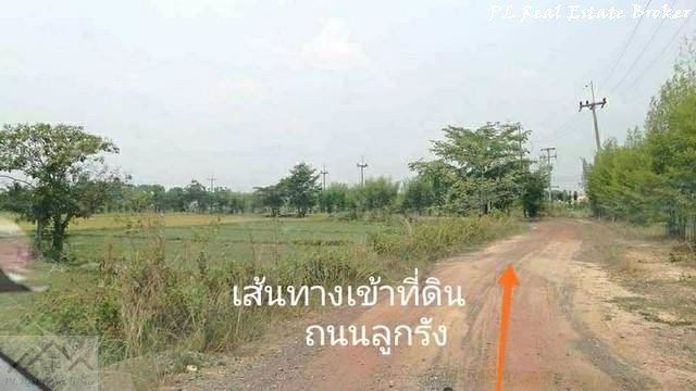 ขายที่ดิน-8-ไร่-เหมาะทำการเกษตร-ตศรีนาวา-อเมือง-จังหวัดนครนายก-ใกล้วัดป่าศรีถาวรนิมิต
