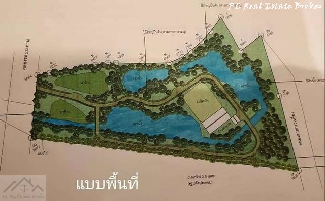 ขายที่ดิน-8-ไร่-เหมาะทำการเกษตร-ตศรีนาวา-อเมือง-จังหวัดนครนายก-ใกล้วัดป่าศรีถาวรนิมิต