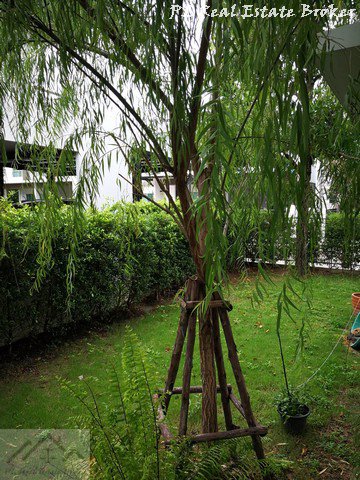 ขายบ้านเดี่ยว-2-ชั้น-60-ตรวา-หมู่บ้านสีวลี-บางนา-ตราด-กม-14