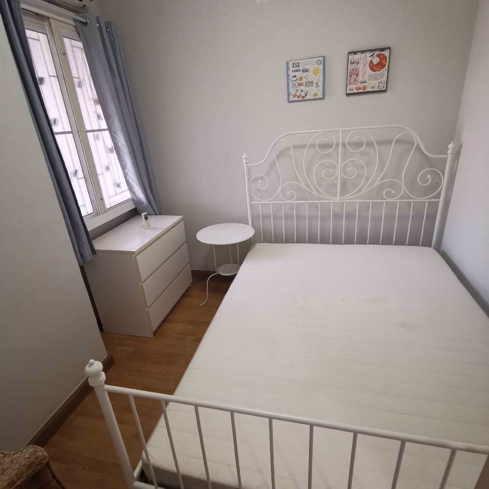 ปล่อยเช่าด่วน-the-colors-premium-bangna-กม8-บ้านสวย-ตกแต่งพร้อมอยู่