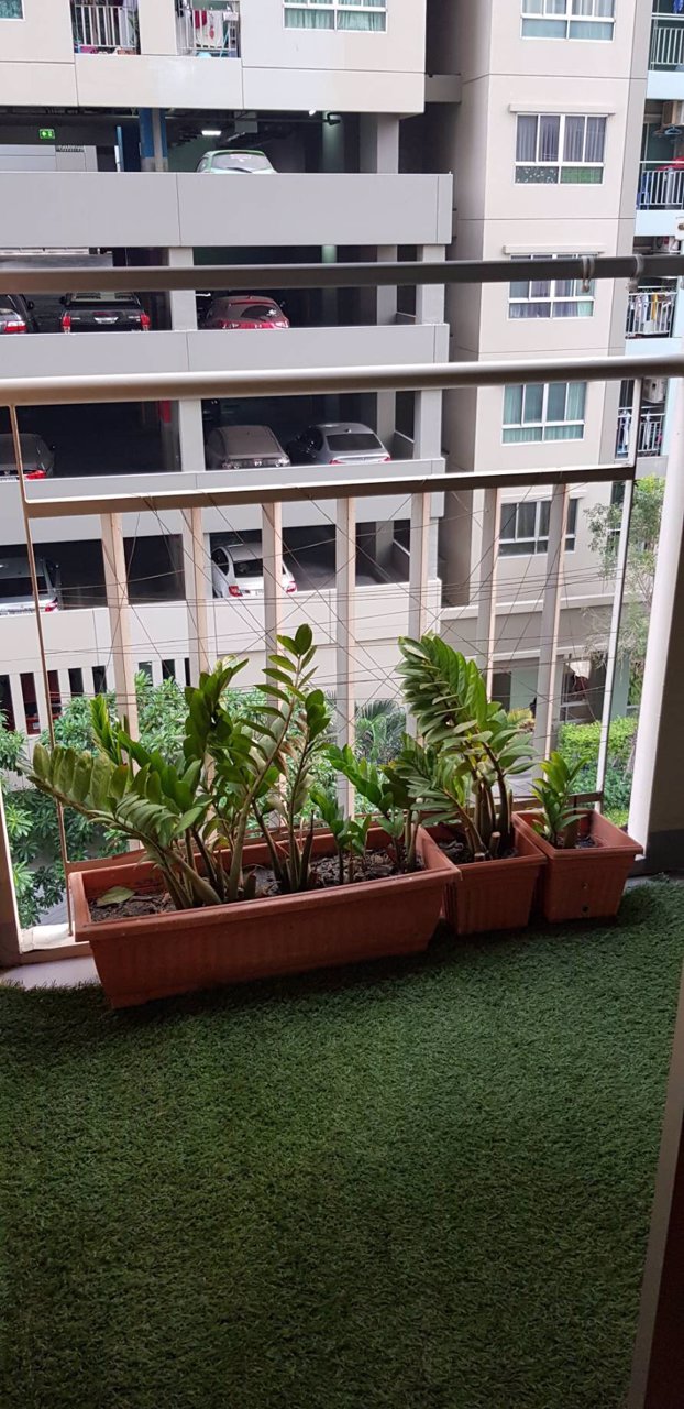 ปล่อยเช่าราคาพิเศษคอนโด-ลุมพินี-เมกะซิตี้-26-ตรม-ใกล้เมกะบางนา