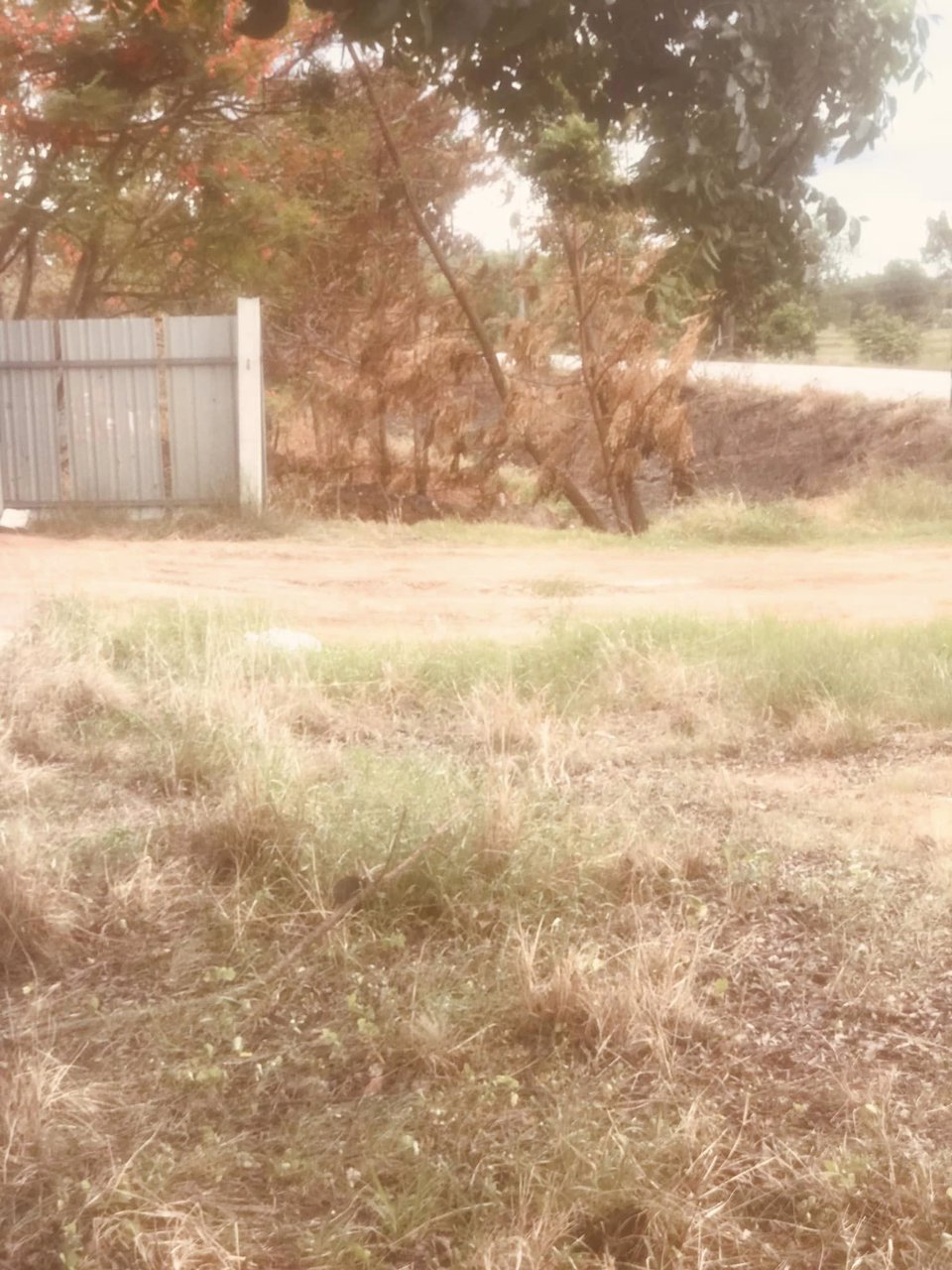 ขายที่ดินพร้อมสิ่งปลูกสร้าง-เนื้อที่-19ไร่