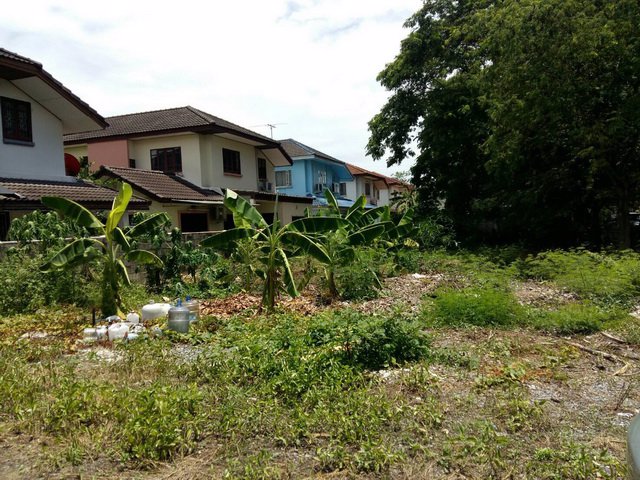 ขายที่ดินศุภาลัยเลค-4-คุ้มเกล้า6-เนื้อที่-63ตรวถมแล้ว