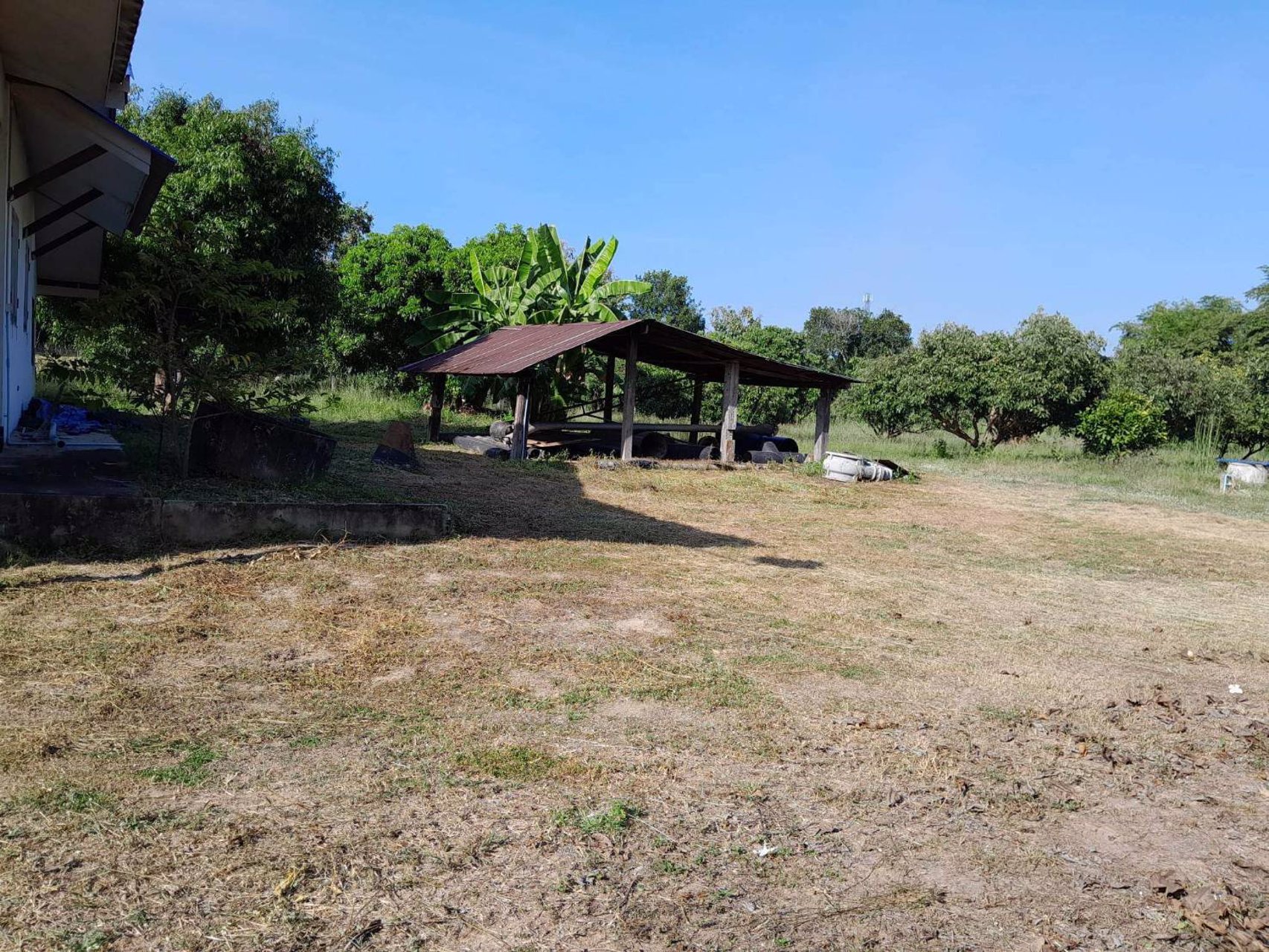 ขายสวนลำไย-พร้อมบ้าน-เนื้อที่-2ไร่-3งาน-33-ตรว