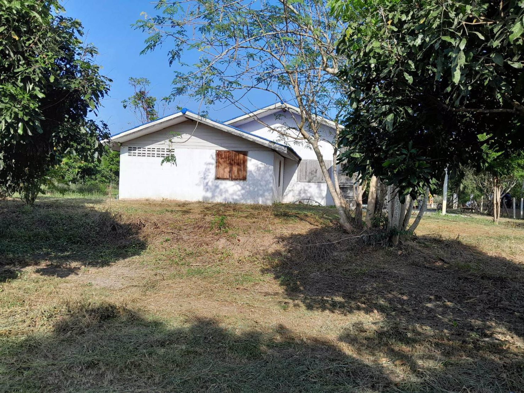 ขายสวนลำไย-พร้อมบ้าน-เนื้อที่-2ไร่-3งาน-33-ตรว