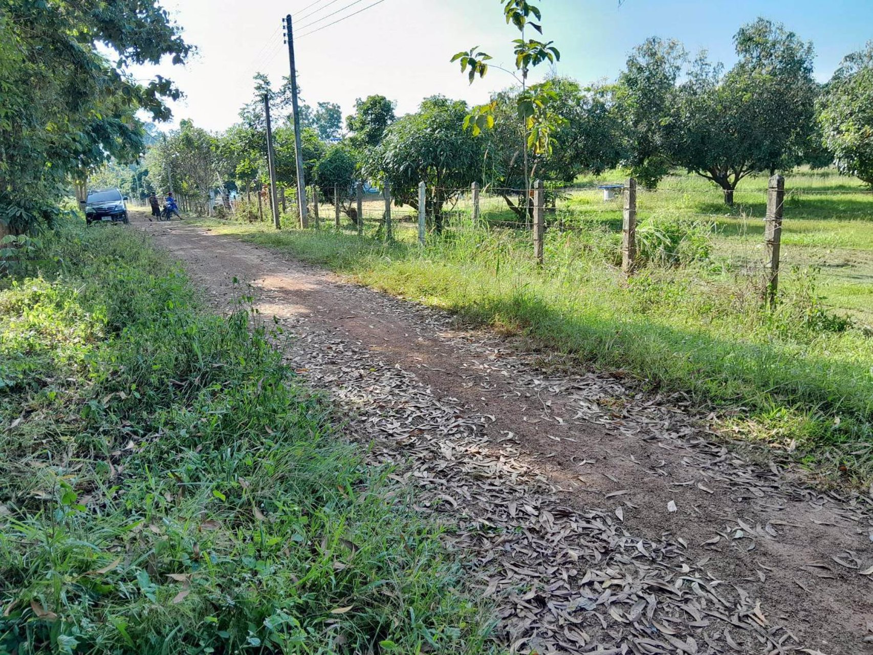 ขายสวนลำไย-พร้อมบ้าน-เนื้อที่-2ไร่-3งาน-33-ตรว