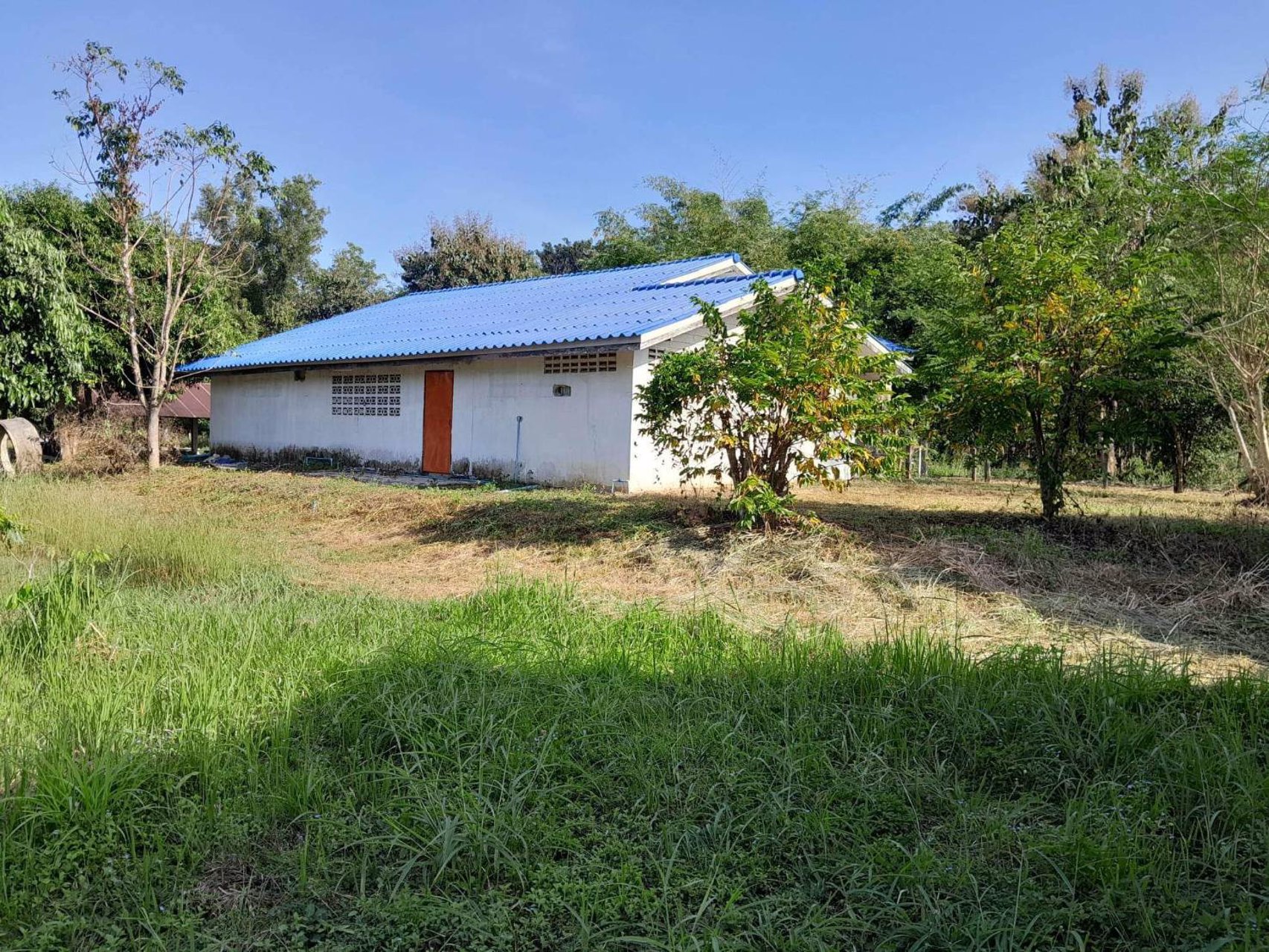 ขายสวนลำไย-พร้อมบ้าน-เนื้อที่-2ไร่-3งาน-33-ตรว