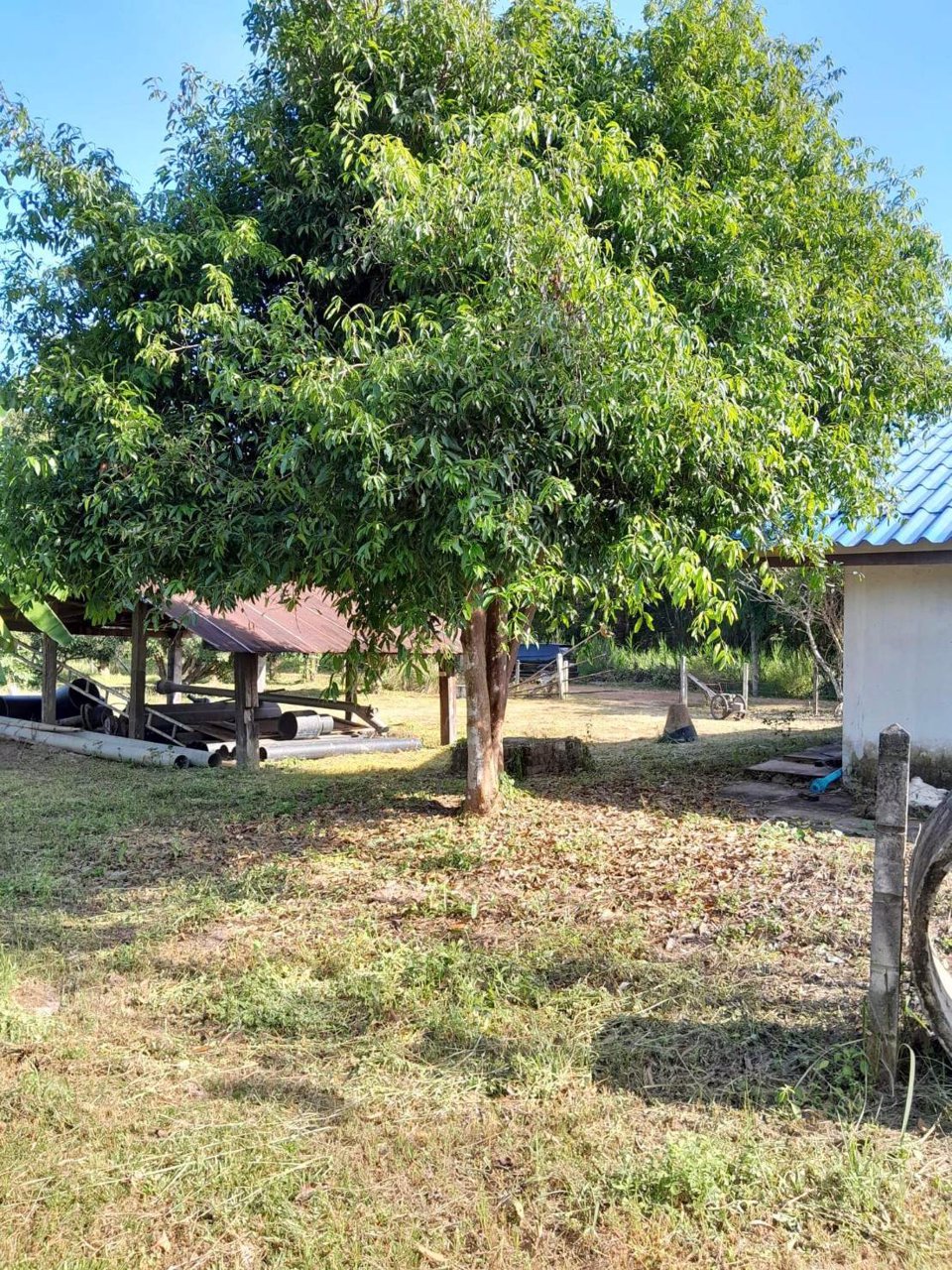 ขายสวนลำไย-พร้อมบ้าน-เนื้อที่-2ไร่-3งาน-33-ตรว