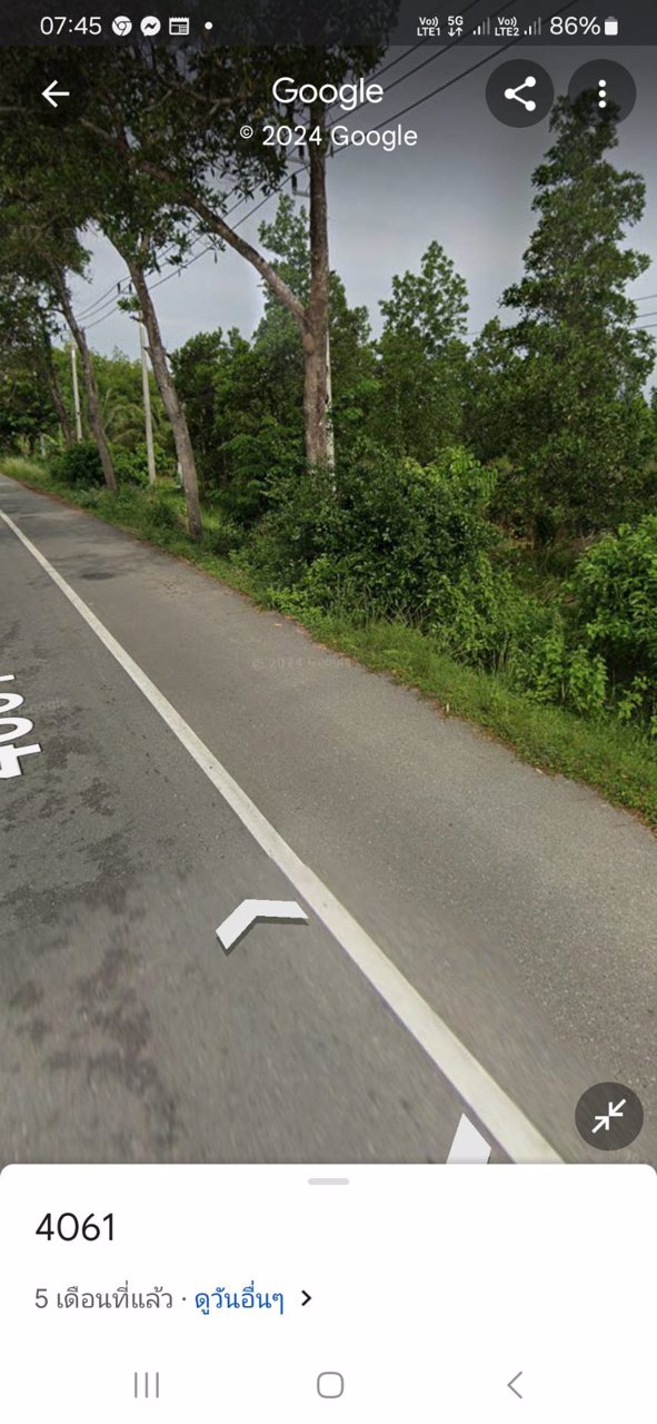 ขายที่ดิน-ติดถนนเส้นหลักยะรังมายอ