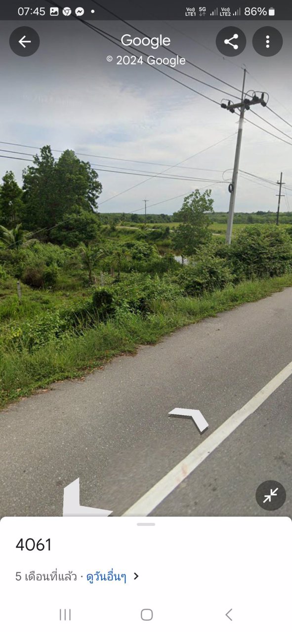 ขายที่ดิน-ติดถนนเส้นหลักยะรังมายอ