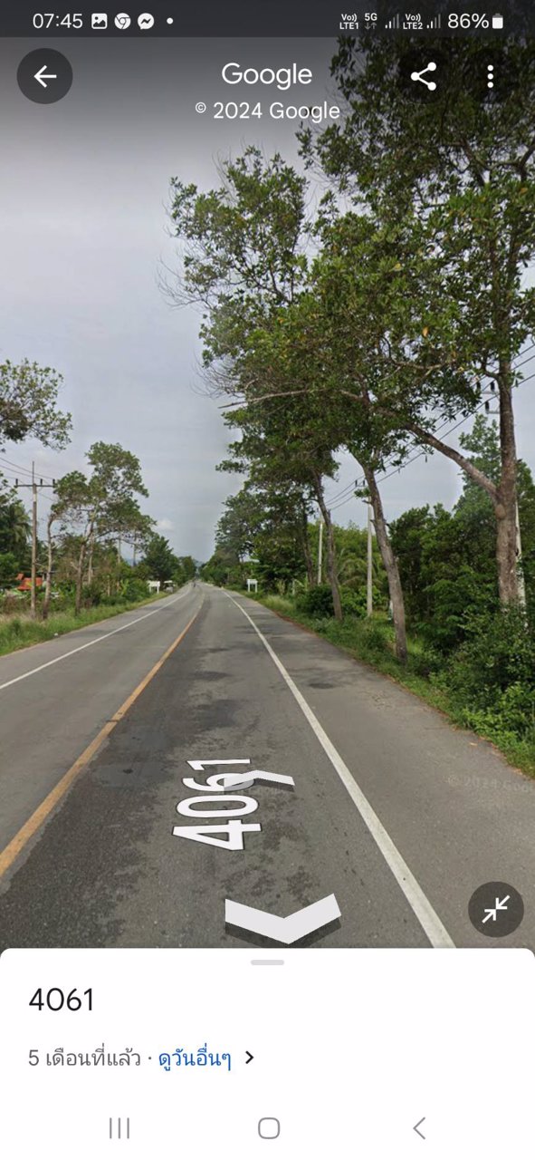 ขายที่ดิน-ติดถนนเส้นหลักยะรังมายอ