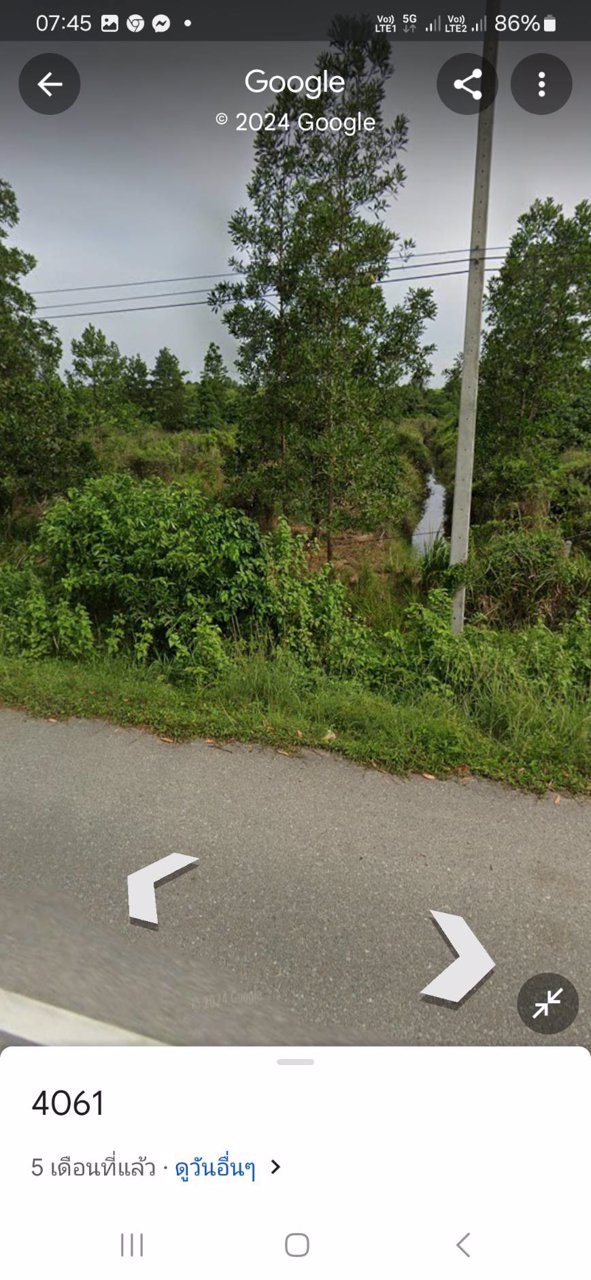 ขายที่ดิน-ติดถนนเส้นหลักยะรังมายอ