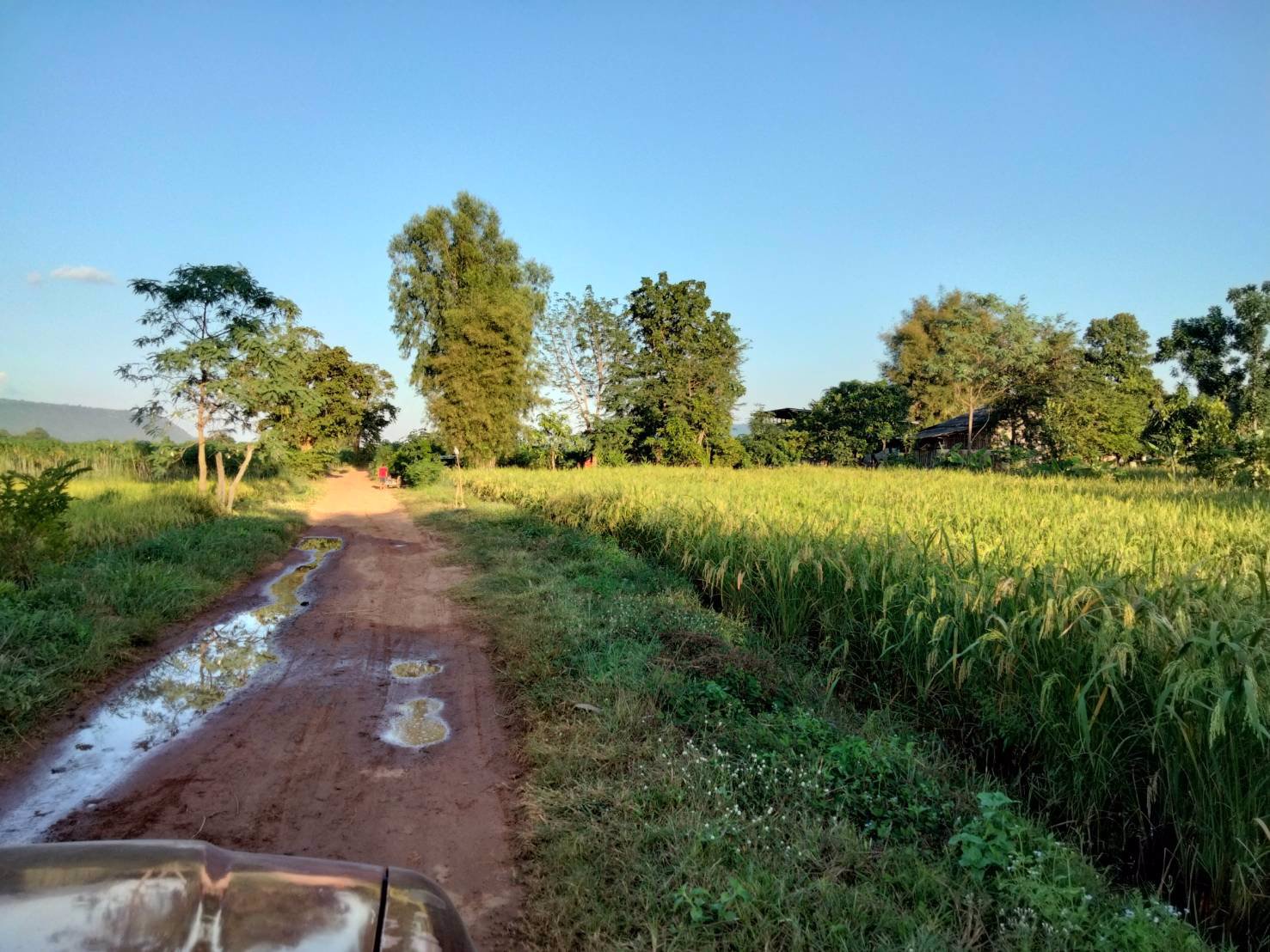 สวย-ถูก-ดี-ที่ดิน-ภบท5-จำนวน-15-ไร่-ขายราคาถูก