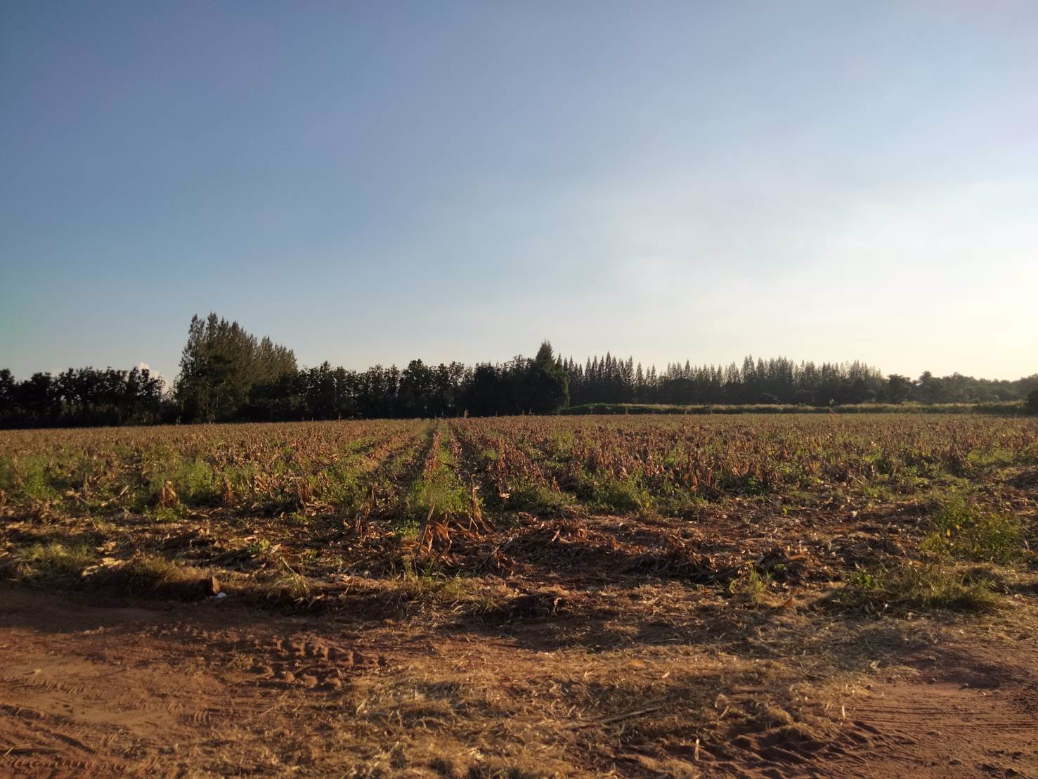 สวย-ถูก-ดี-ที่ดิน-ภบท5-จำนวน-15-ไร่-ขายราคาถูก