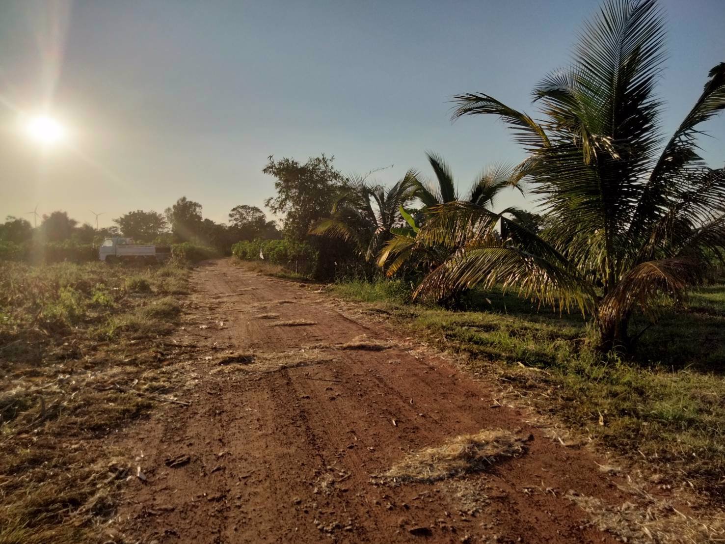 สวย-ถูก-ดี-ที่ดิน-ภบท5-จำนวน-15-ไร่-ขายราคาถูก