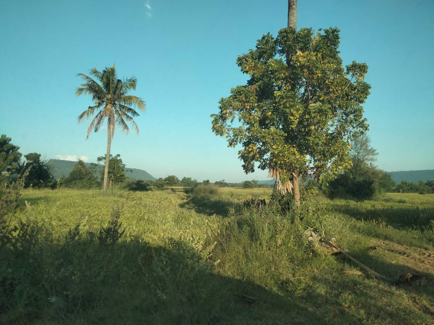 สวย-ถูก-ดี-ที่ดิน-ภบท5-จำนวน-15-ไร่-ขายราคาถูก