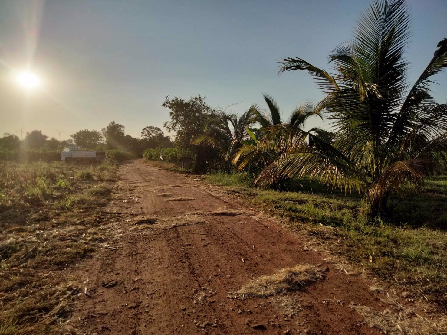 สวย-ถูก-ดี-ที่ดิน-ภบท5-จำนวน-15-ไร่-ขายราคาถูก