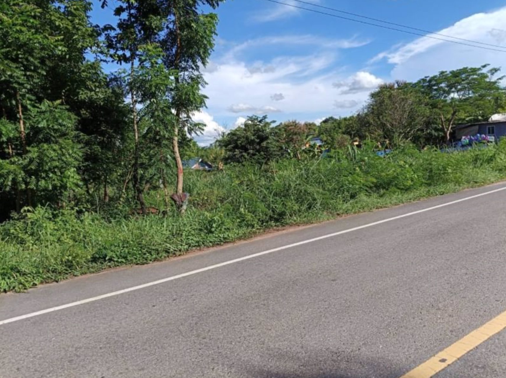 ขายที่ดินติดทางหลวง-6-ไร่-2-งาน