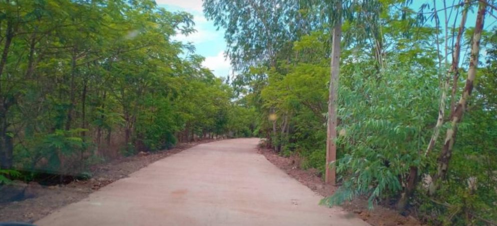 ขายที่ดิน-200ตรว-ติดถนนคอนกรีต-มีไฟฟ้า