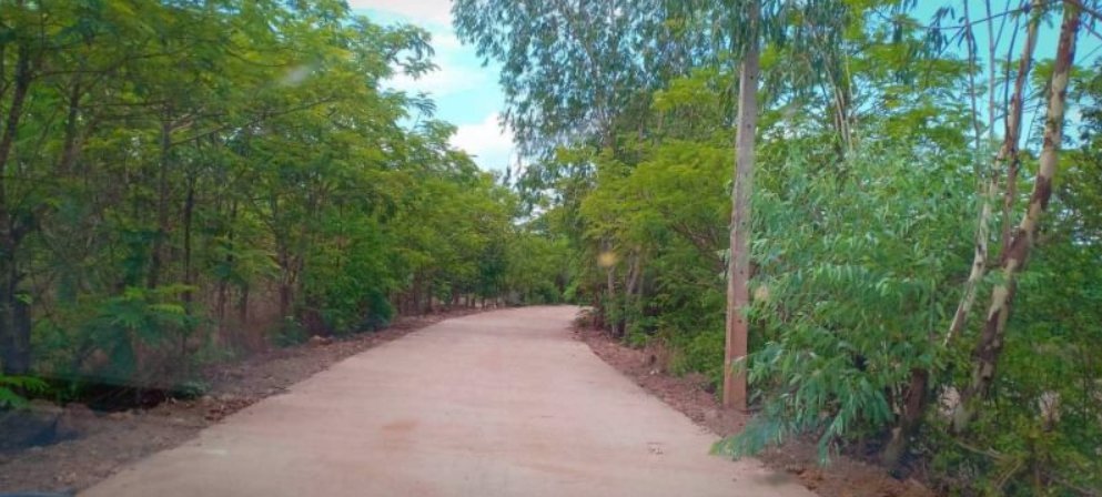 ขายที่ดิน-200ตรว-ติดถนนคอนกรีต-มีไฟฟ้า