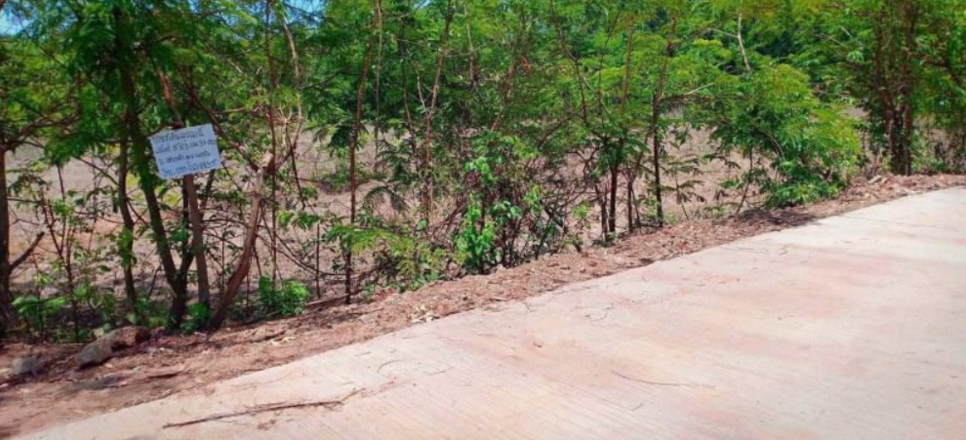 ขายที่ดิน-200ตรว-ติดถนนคอนกรีต-มีไฟฟ้า