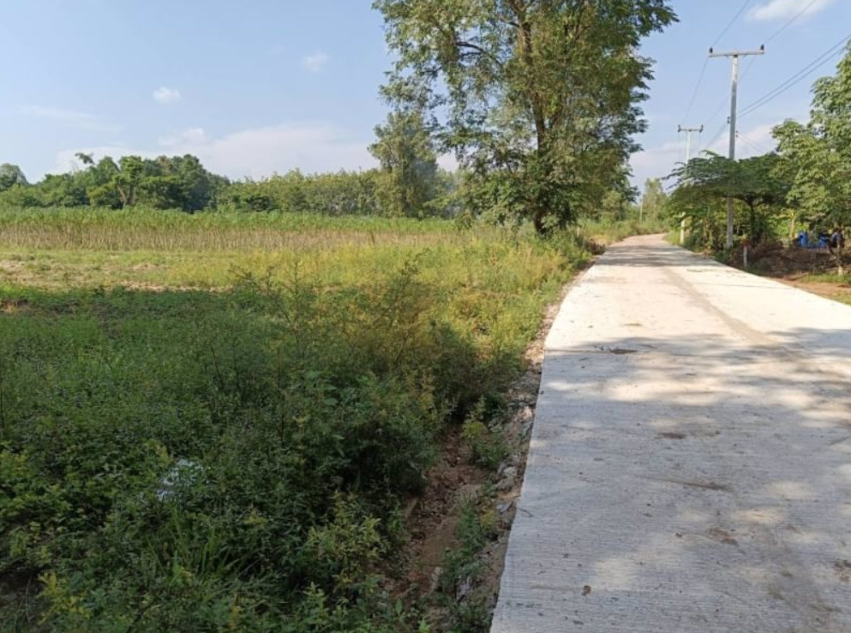 ขายที่ดิน-200ตรว-ติดถนนคอนกรีต-มีไฟฟ้า