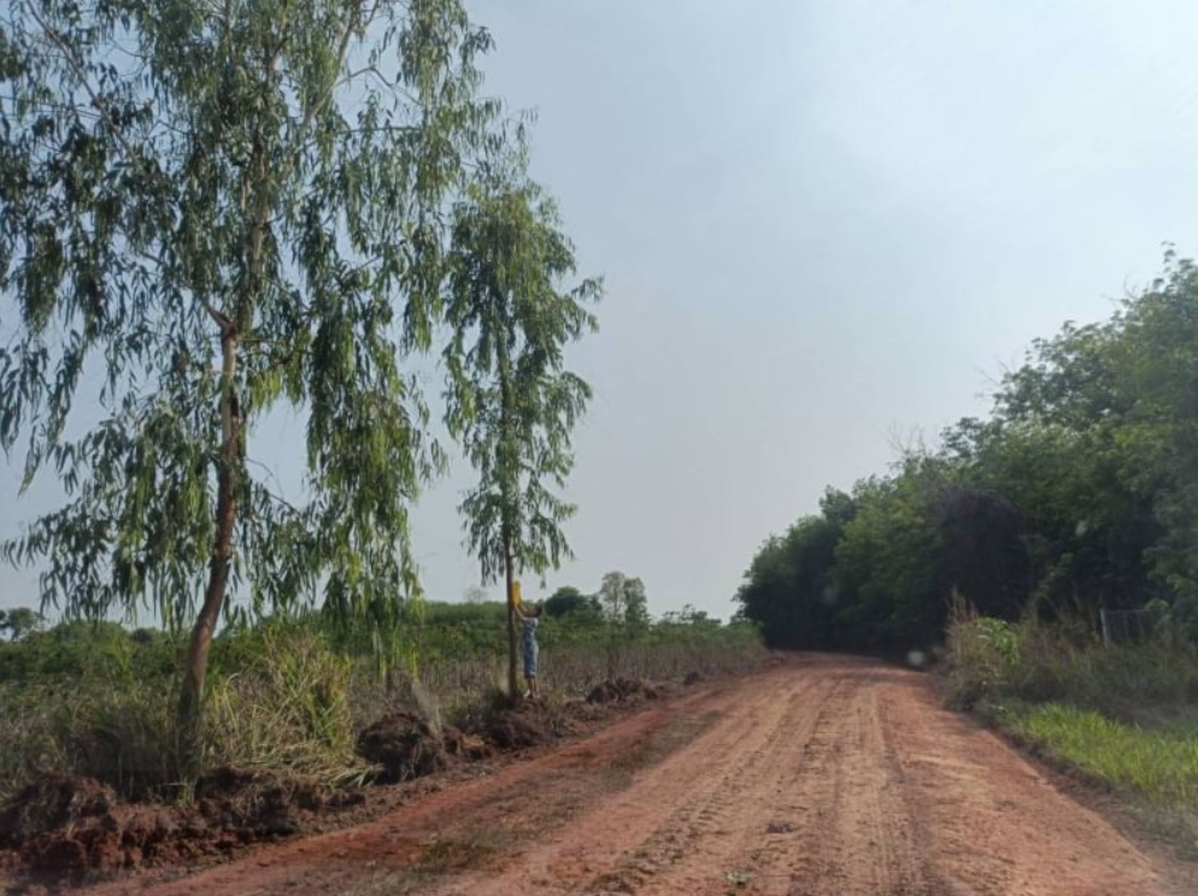 ขายที่ดินใกล้เมืองอุดรธานี-ขนาด-9-ไร่-50-ตรว-เข้าซอยข้างดูโฮม