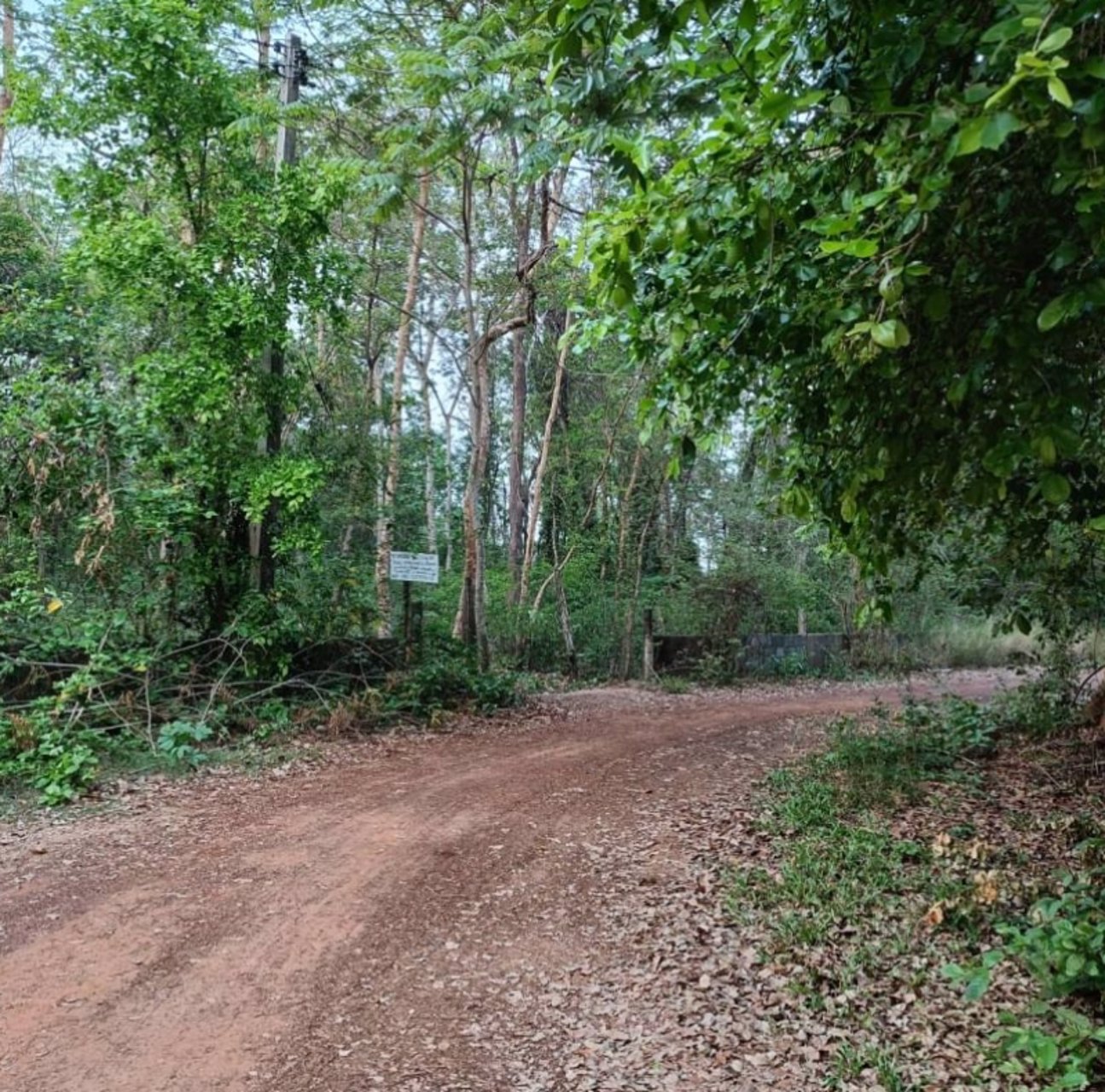 ขายที่ดินใกล้เมืองอุดรธานี-ขนาด-9-ไร่-50-ตรว-เข้าซอยข้างดูโฮม