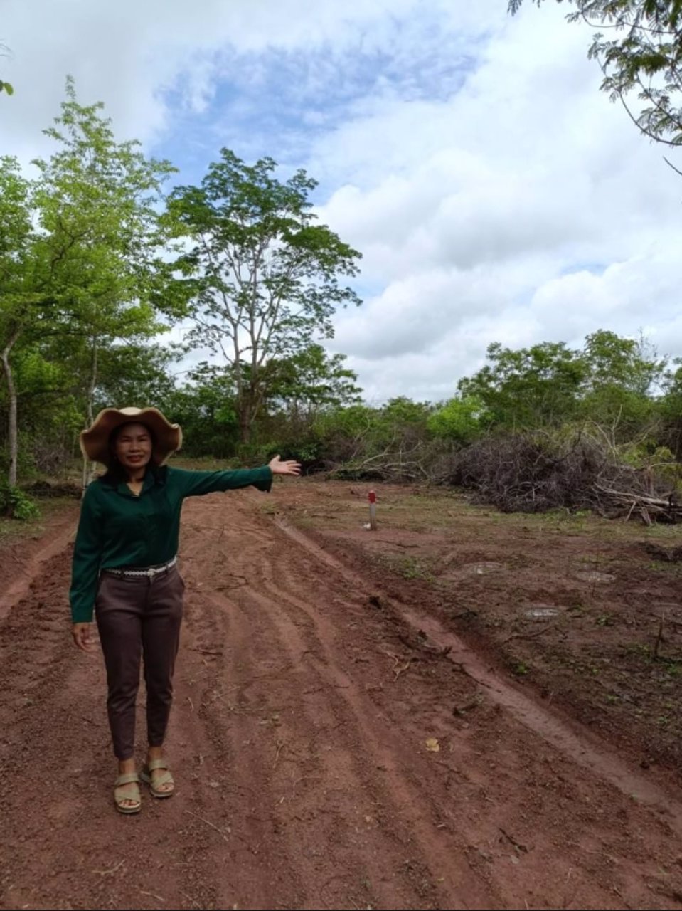 ขายที่ดิน100-ตรว-อเมือง-จหนองบัวลำภู