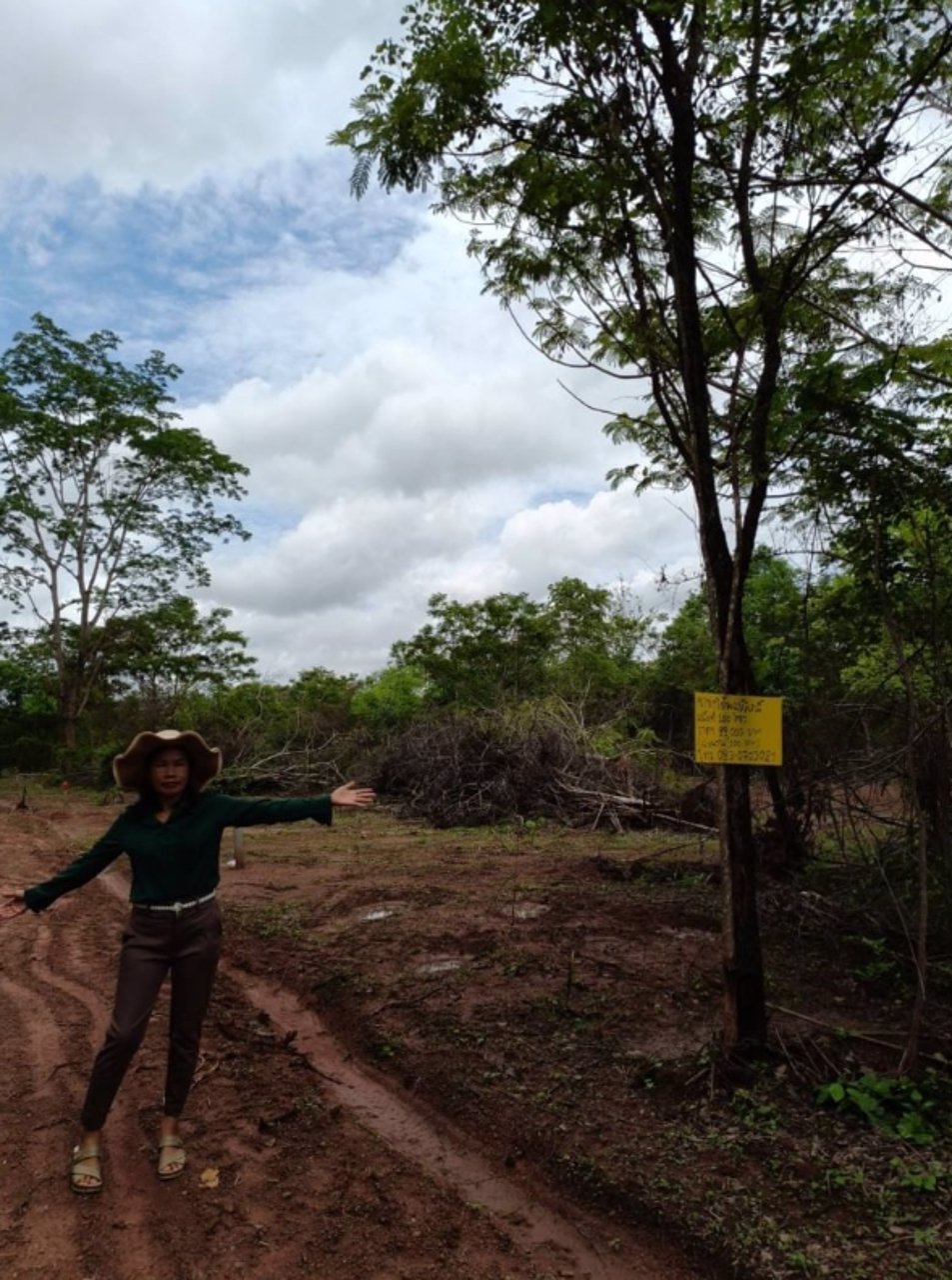 ขายที่ดิน100-ตรว-อเมือง-จหนองบัวลำภู