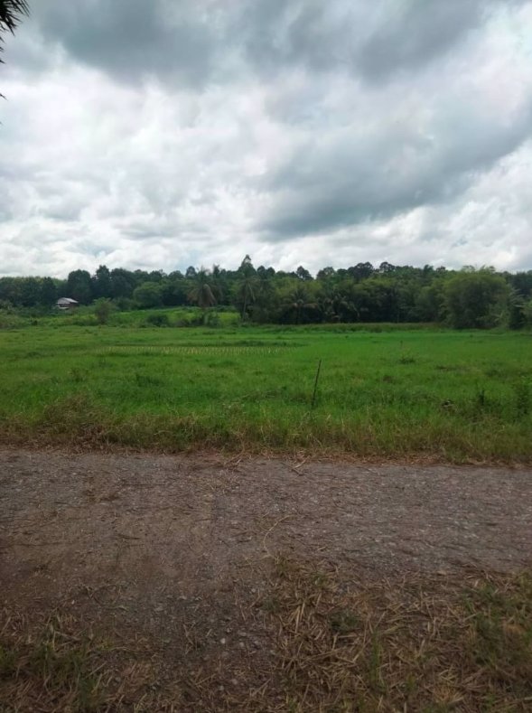 ขายที่ดินโฉนด-3-ไร่-42ตรว-อยู่บ้านตาด-อเมือง-จอุดรธานี