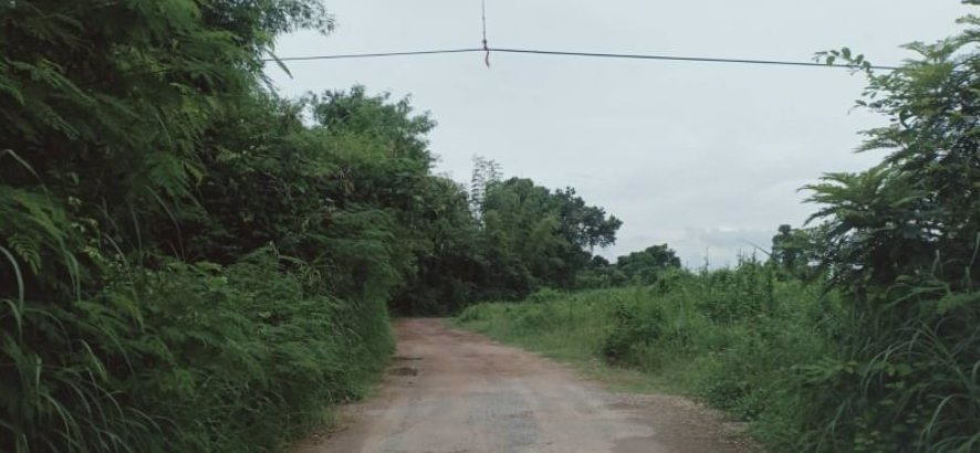 ขายที่ดินจัดสรร100-ตรว-ราคา-6แสนบาท