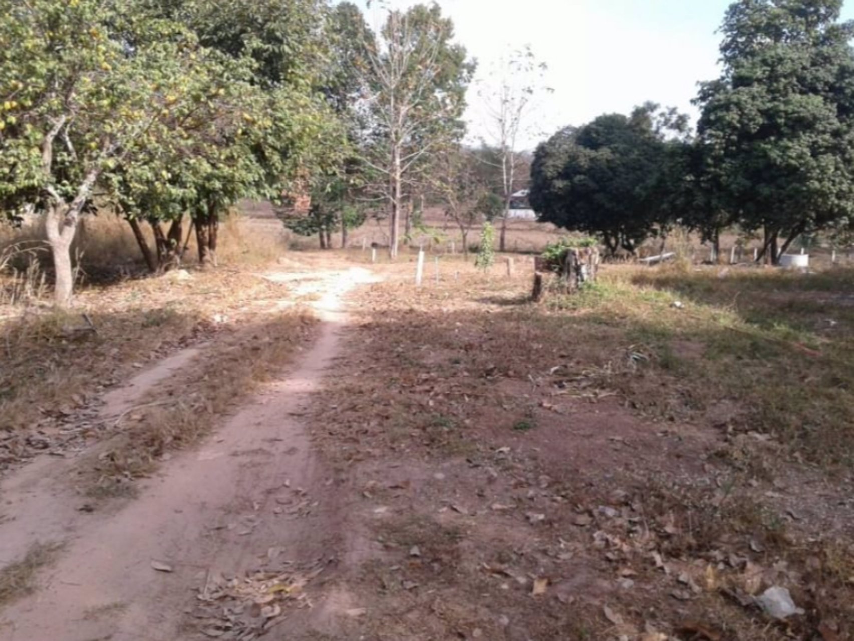 ขายบ้านพร้อมที่ดิน100-ตรว-ราคา390000บาท