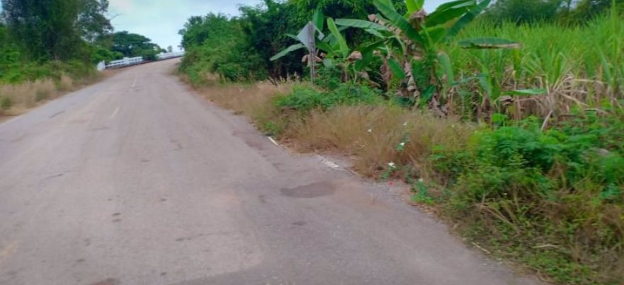 ขายที่ดิน-350-ตรว-ราคา-190000บาท